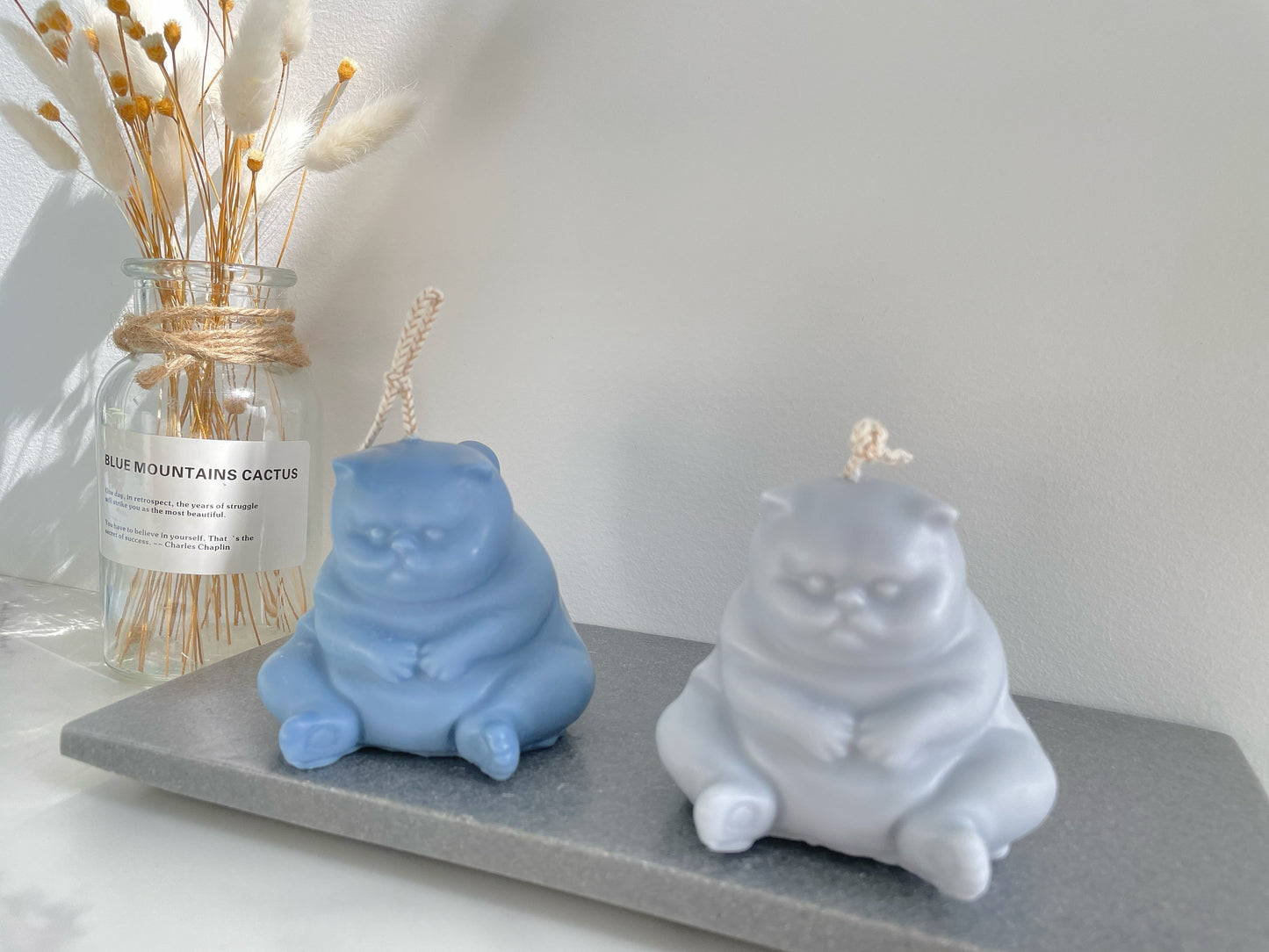 Grumpy Chubby Cat Candle