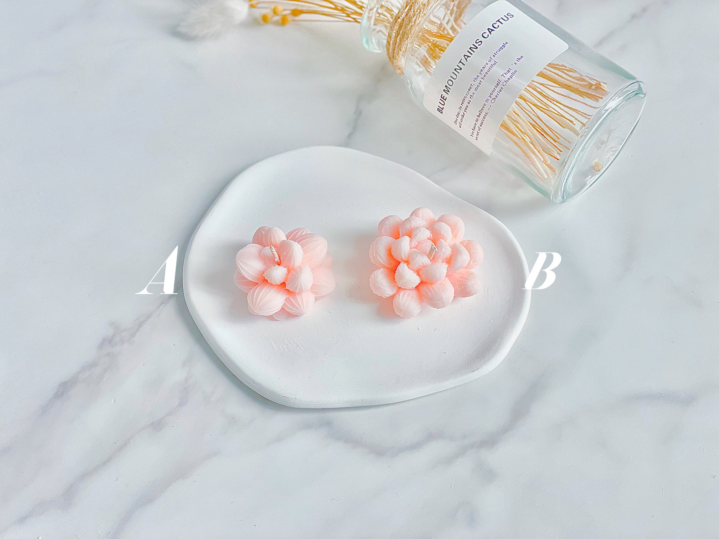 Succulent Candles