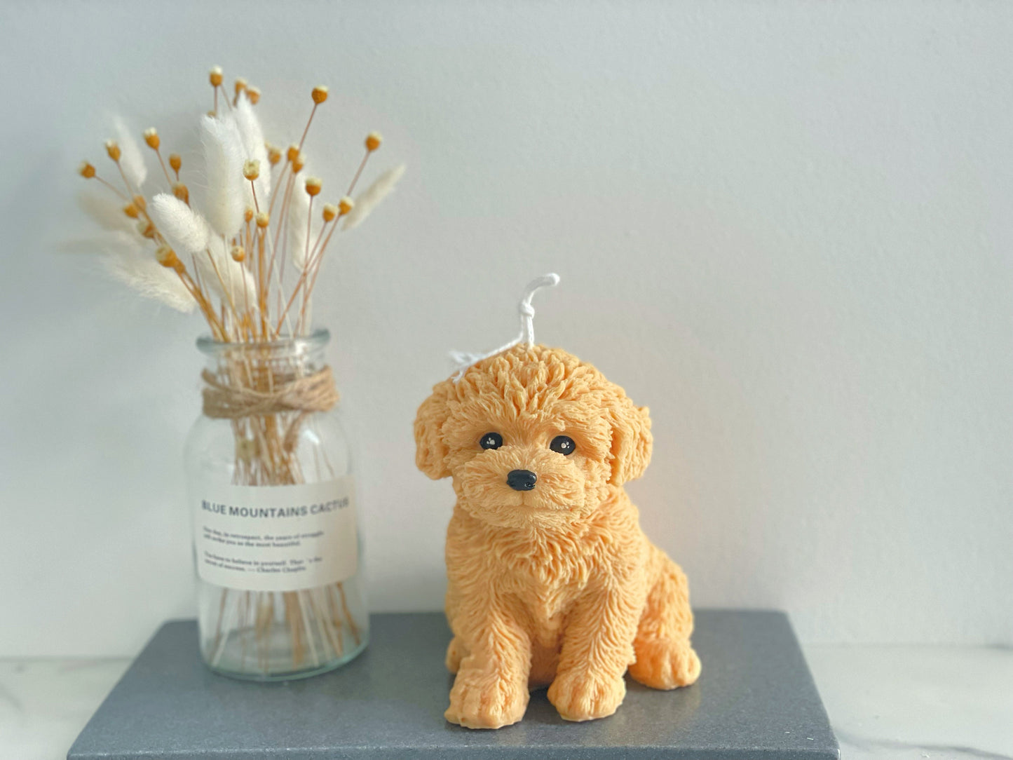 Big Toy Poodle Candle