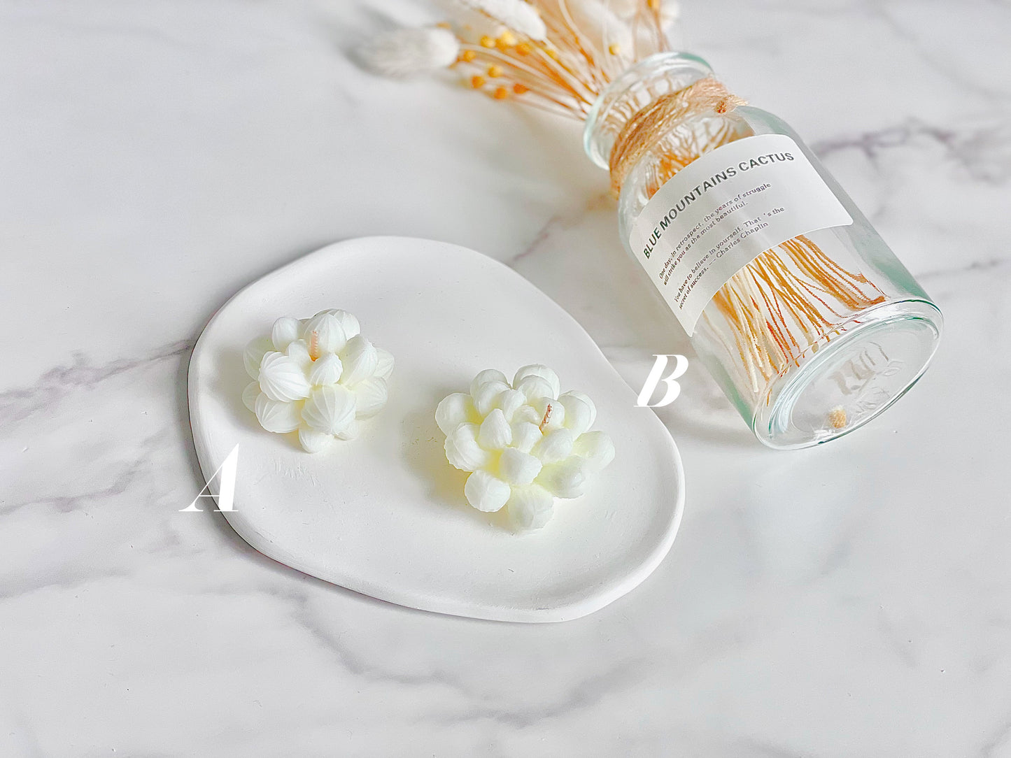 Succulent Candles