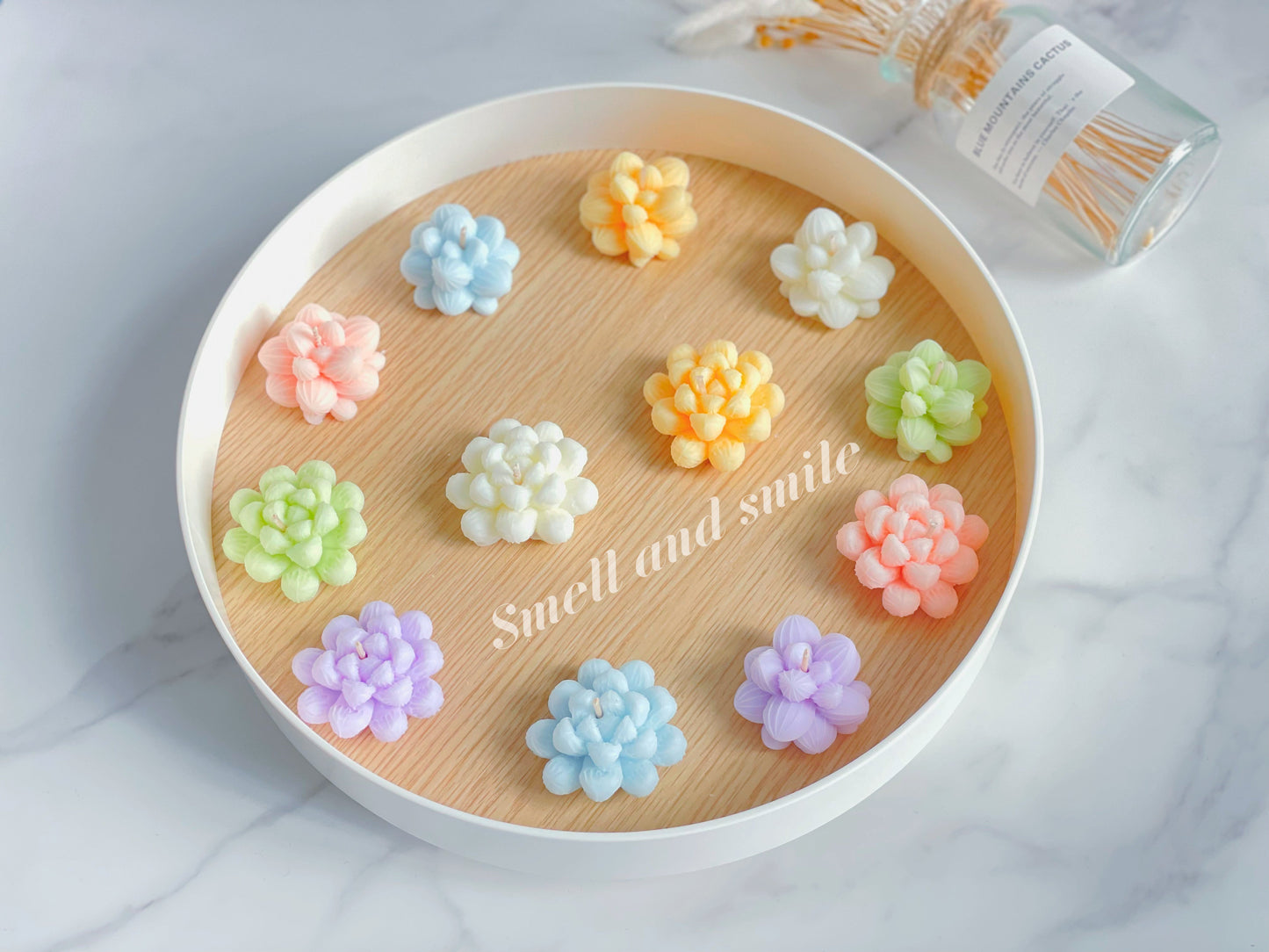 Succulent Candles