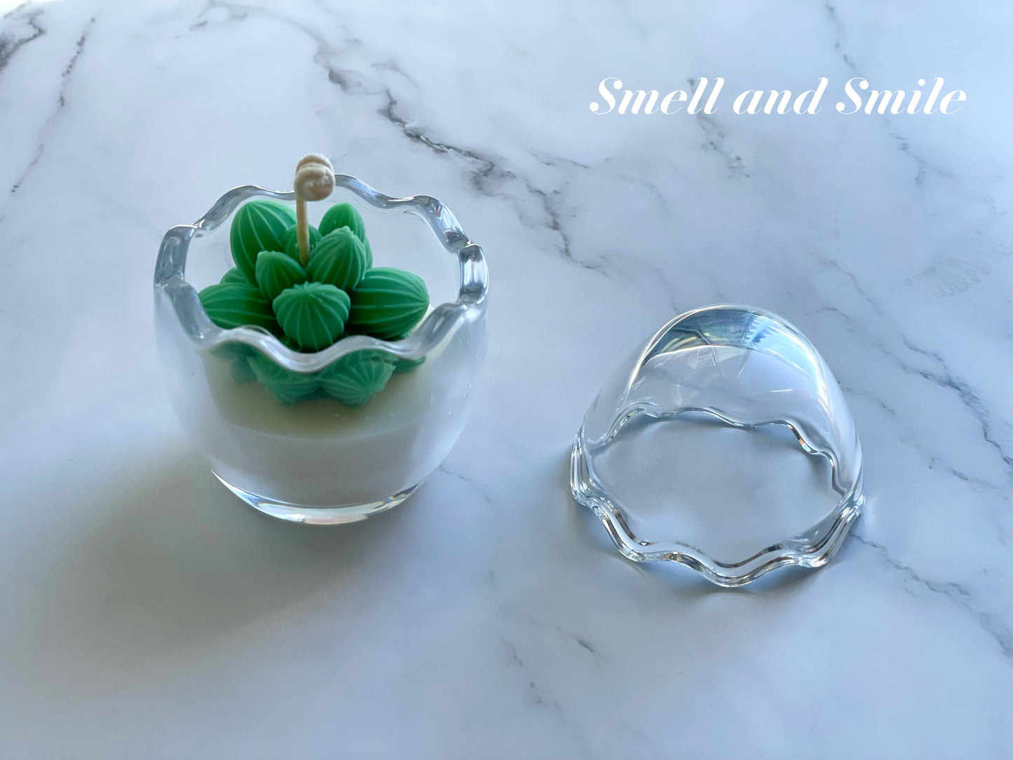 Egg Shell Glass Container Egg/Plant