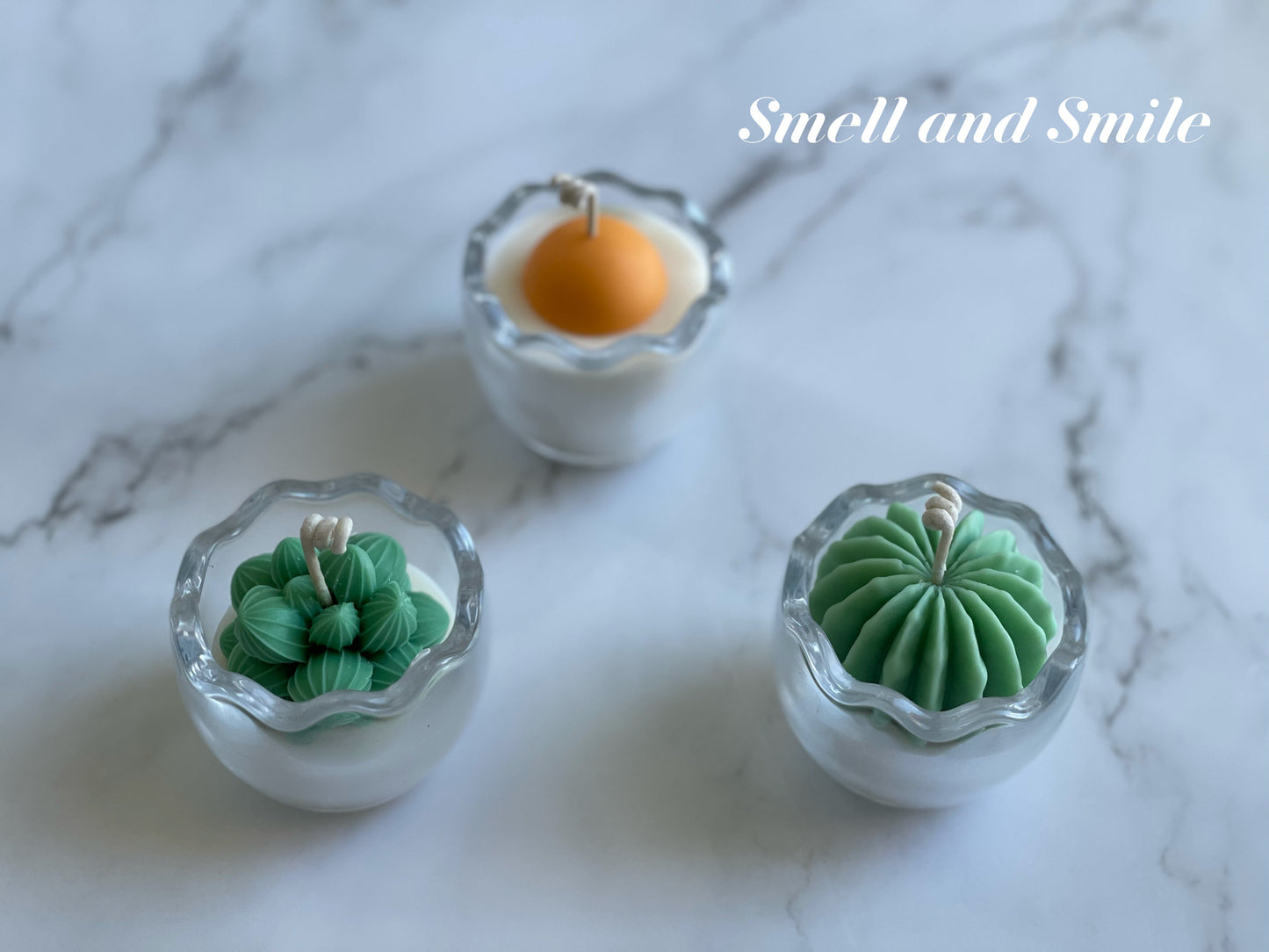 Egg Shell Glass Container Egg/Plant