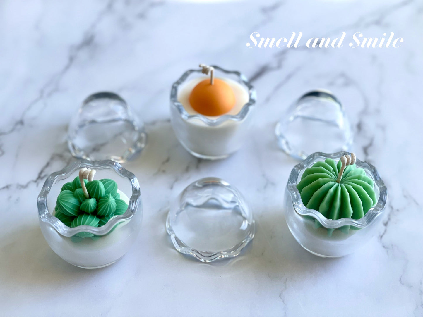 Egg Shell Glass Container Egg/Plant