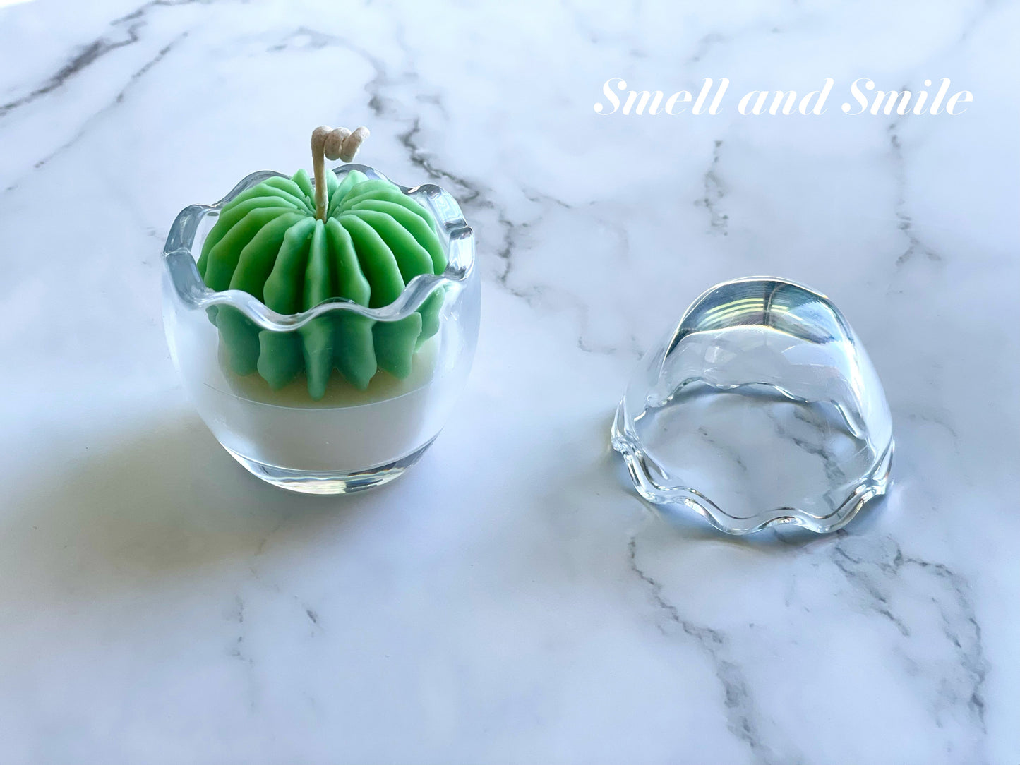 Egg Shell Glass Container Egg/Plant