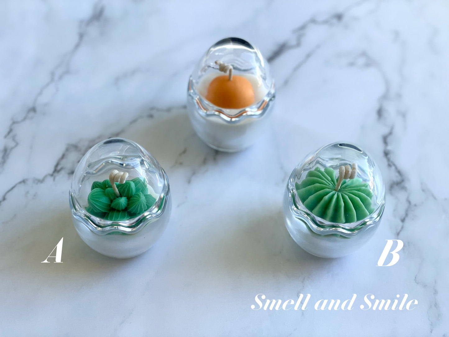 Egg Shell Glass Container Egg/Plant