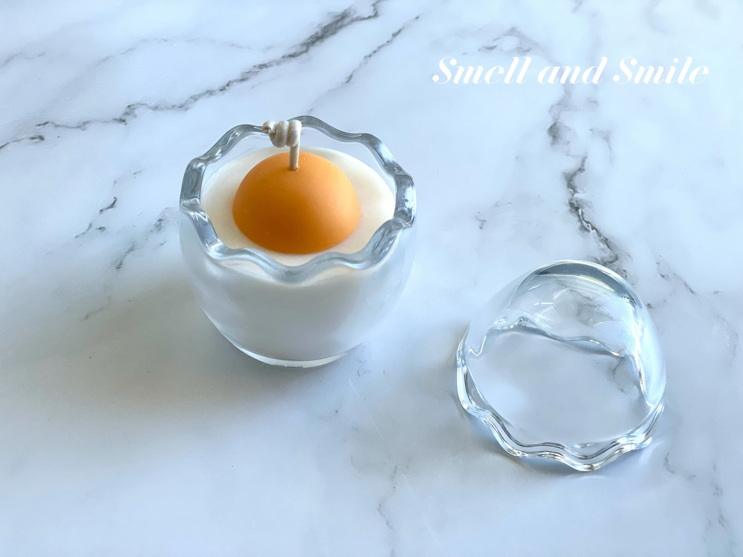 Egg Shell Glass Container Egg/Plant